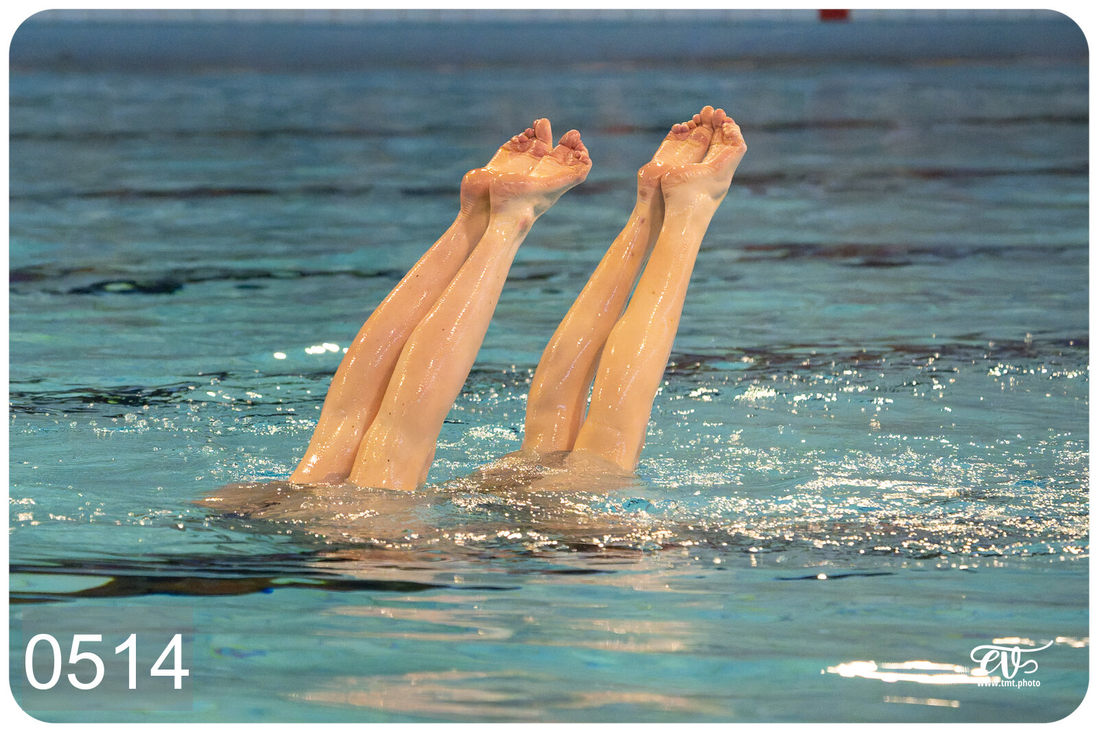 CHAMPIONNAT DE FRANCE DE NATATiON ARTISTIQUE N1 & ELITE 2026